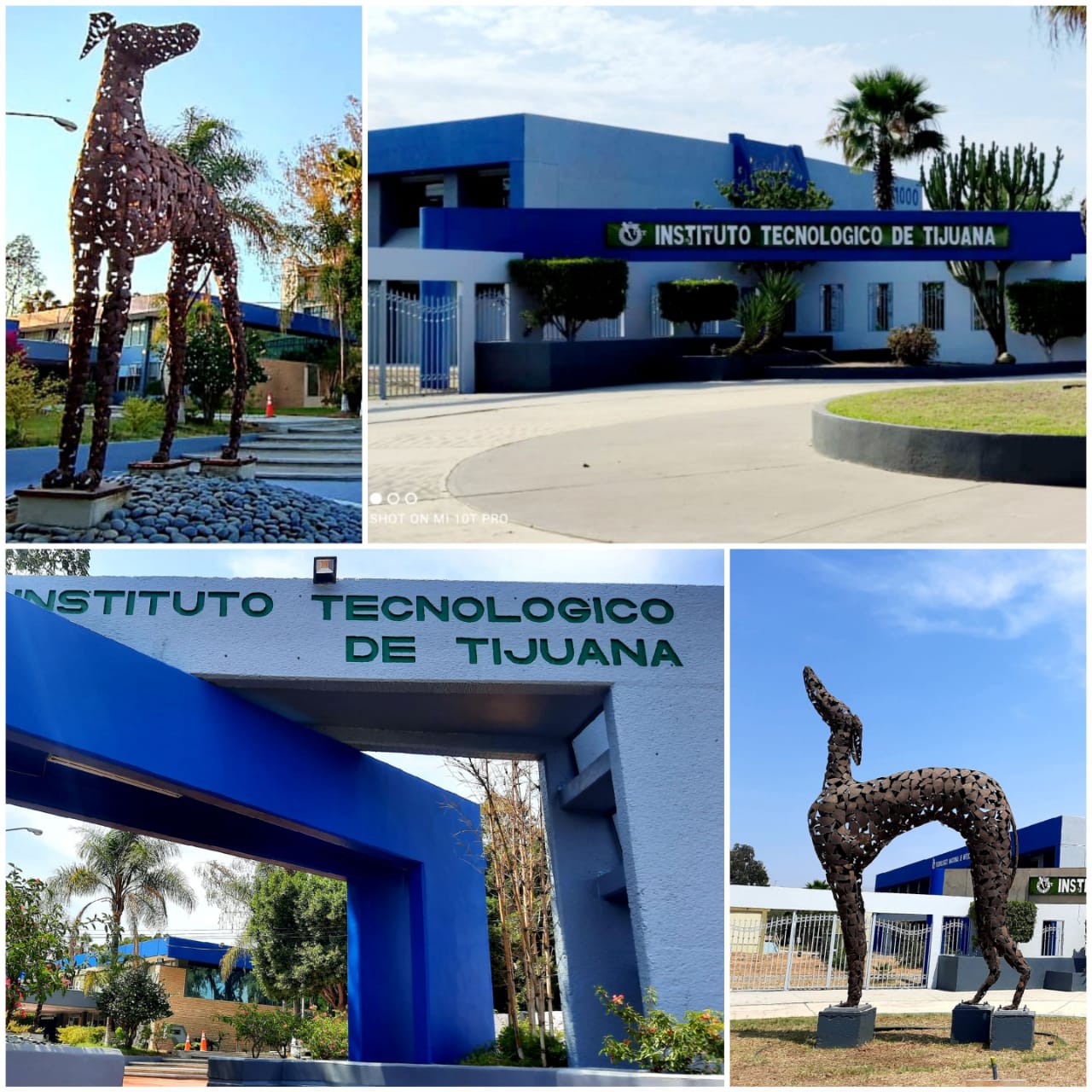Instituto Tecnológico de Tijuana